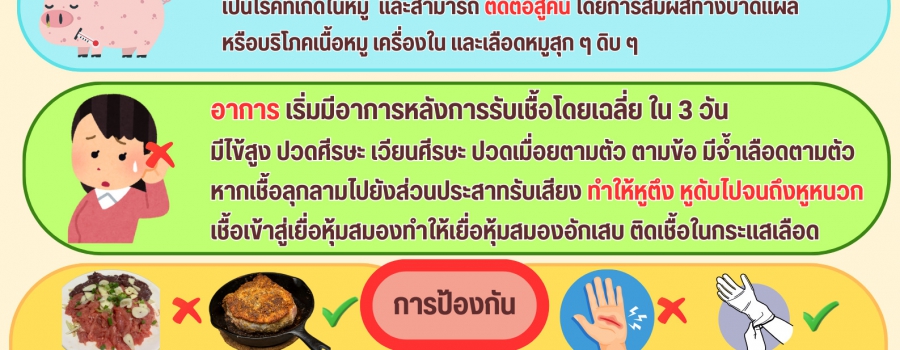 เลือกซื้อเนื่อหมู ปศุสัตว์ OK ลดความเสี่ยง "โรคไข้หูดับ"