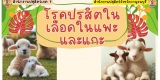 โรคพยาธิในเลือดแพะแกะ