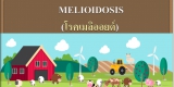 โรคเมลิออยด์